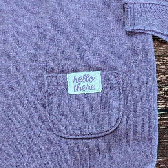 Gymboree Hedgehog Jogging Suit One Piece - Picture 4 of 4